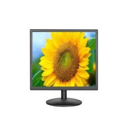 Monitores LCD de 17 pulgadas